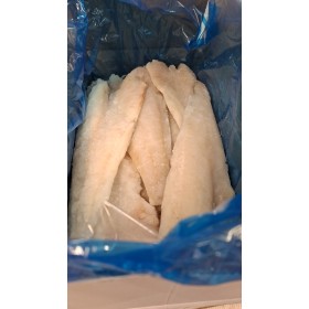 FIL.MERL.NORDICO  5/1000 SCUDO